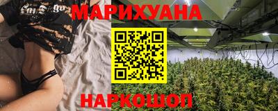 сатива Коммунар