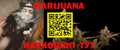 сатива Коммунар